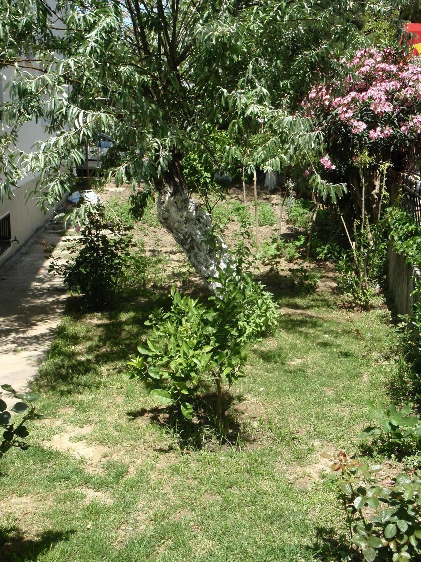 Liman Hotel Kusadası Kültér fotó